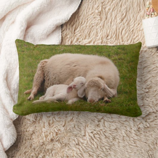 最も可愛い赤ん坊の動物 |笑顔の眠る子羊 ランバークッション (ブランケット)