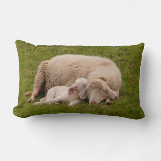 最も可愛い赤ん坊の動物 |笑顔の眠る子羊 ランバークッション (正面)