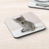 最も可愛い赤ん坊の動物 |舐める虎猫子猫 コースター (左側)