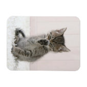 最も可愛い赤ん坊の動物 |舐める虎猫子猫 マグネット (横)