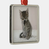 最も可愛い赤ん坊の動物 |舐める虎猫子猫 メタルオーナメント (右)