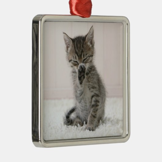 最も可愛い赤ん坊の動物 |舐める虎猫子猫 メタルオーナメント (右)
