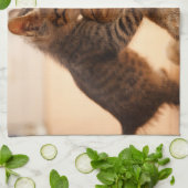 最も可愛い赤ん坊の動物 |虎猫キッテンキス キッチンタオル (折り畳み)