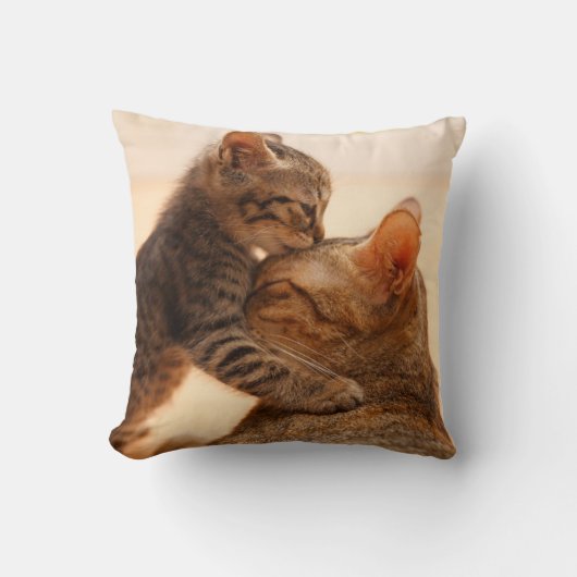 最も可愛い赤ん坊の動物 |虎猫キッテンキス クッション (正面)