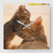 最も可愛い赤ん坊の動物 |虎猫キッテンキス スクエア壁時計 (正面)