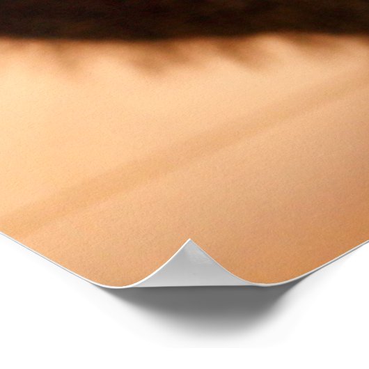 最も可愛い赤ん坊の動物 |虎猫キッテンキス ポスター (角)