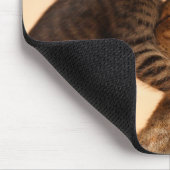 最も可愛い赤ん坊の動物 |虎猫キッテンキス マウスパッド (コーナー)