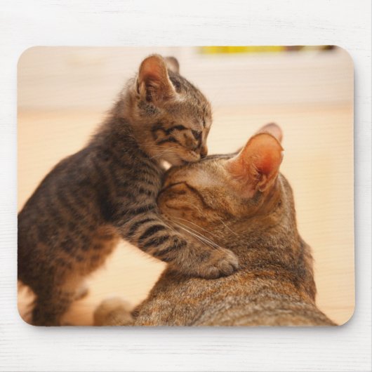 最も可愛い赤ん坊の動物 |虎猫キッテンキス マウスパッド (正面)