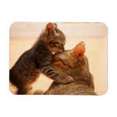 最も可愛い赤ん坊の動物 |虎猫キッテンキス マグネット (横)
