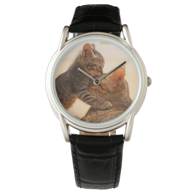 最も可愛い赤ん坊の動物 |虎猫キッテンキス 腕時計 (正面)