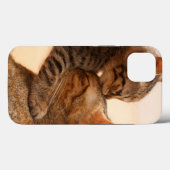 最も可愛い赤ん坊の動物 |虎猫キッテンキス Case-Mate iPhoneケース (裏面 (横))