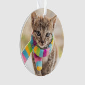 最も可愛い赤ん坊の動物 |虎猫キッテンレインボスカーフ オーナメント (正面)