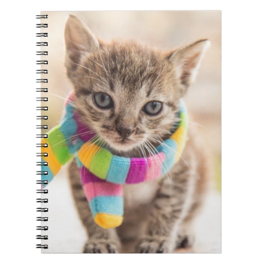 最も可愛い赤ん坊の動物 |虎猫キッテンレインボスカーフ ノートブック (正面)