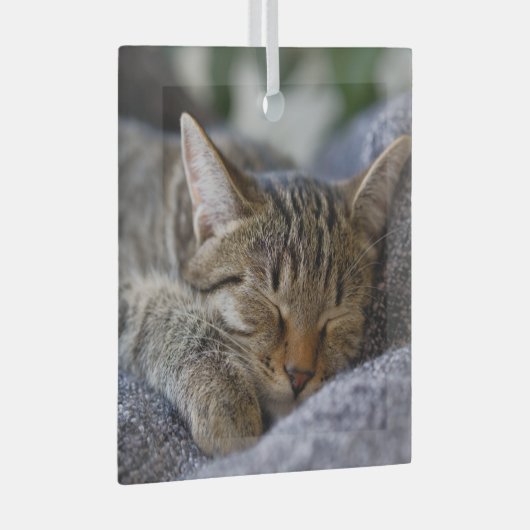 最も可愛い赤ん坊の動物 |虎猫子猫スリープ ガラスオーナメント (正面右)