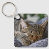 最も可愛い赤ん坊の動物 |虎猫子猫スリープ キーホルダー (正面)