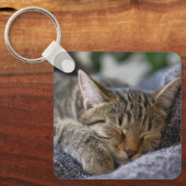 最も可愛い赤ん坊の動物 |虎猫子猫スリープ キーホルダー (正面)