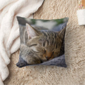 最も可愛い赤ん坊の動物 |虎猫子猫スリープ クッション (ブランケット)