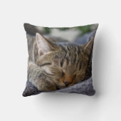 最も可愛い赤ん坊の動物 |虎猫子猫スリープ クッション (裏面)