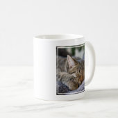 最も可愛い赤ん坊の動物 |虎猫子猫スリープ コーヒーマグカップ (正面右)