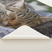 最も可愛い赤ん坊の動物 |虎猫子猫スリープ シェルパブランケット (3/4)
