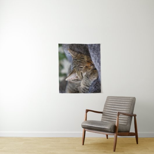 最も可愛い赤ん坊の動物 |虎猫子猫スリープ タペストリー (インサイチュ)