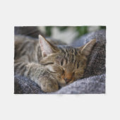 最も可愛い赤ん坊の動物 |虎猫子猫スリープ フリースブランケット (正面(横))