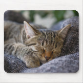 最も可愛い赤ん坊の動物 |虎猫子猫スリープ マウスパッド (正面)