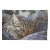 最も可愛い赤ん坊の動物 |虎猫子猫スリープ 枕カバー (裏面)