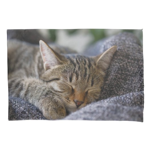 最も可愛い赤ん坊の動物 |虎猫子猫スリープ 枕カバー (正面)