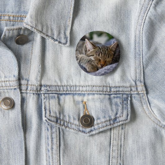 最も可愛い赤ん坊の動物 |虎猫子猫スリープ 缶バッジ (インサイチュ)