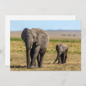 最も可愛い赤ん坊の動物 |象の母とベビー サンキューカード (正面/裏面)