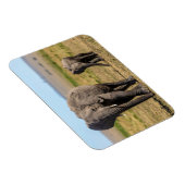 最も可愛い赤ん坊の動物 |象の母とベビー マグネット (右側)