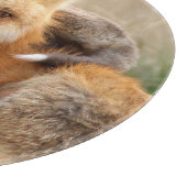 最も可愛い赤ん坊の動物 |赤いキツネとベビー カッティングボード (角)