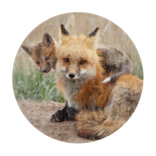 最も可愛い赤ん坊の動物 |赤いキツネとベビー カッティングボード (正面)