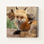 最も可愛い赤ん坊の動物 |赤いキツネとベビー ノートブック (裏面)