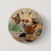 最も可愛い赤ん坊の動物 |赤いキツネとベビー 缶バッジ (正面)