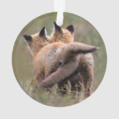 最も可愛い赤ん坊の動物 |赤いキツネキットの尾をロック オーナメント (裏面)