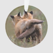 最も可愛い赤ん坊の動物 |赤いキツネキットの尾をロック オーナメント (正面)