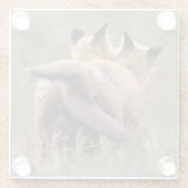 最も可愛い赤ん坊の動物 |赤いキツネキットの尾をロック ガラスコースター (裏面)