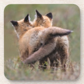 最も可愛い赤ん坊の動物 |赤いキツネキットの尾をロック コースター (正面)