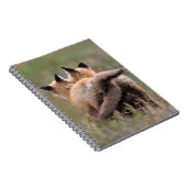 最も可愛い赤ん坊の動物 |赤いキツネキットの尾をロック ノートブック (右側)