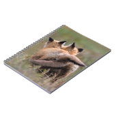 最も可愛い赤ん坊の動物 |赤いキツネキットの尾をロック ノートブック (左側)