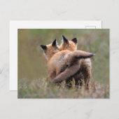 最も可愛い赤ん坊の動物 |赤いキツネキットの尾をロック ポストカード (正面/裏面)