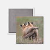 最も可愛い赤ん坊の動物 |赤いキツネキットの尾をロック マグネット (正面/裏面)
