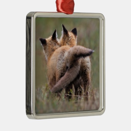 最も可愛い赤ん坊の動物 |赤いキツネキットの尾をロック メタルオーナメント (右)