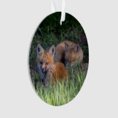 最も可愛い赤ん坊の動物 |赤キツネキット兄弟姉妹 オーナメント (正面)