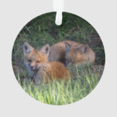 最も可愛い赤ん坊の動物 |赤キツネキット兄弟姉妹 オーナメント (裏面)