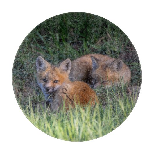 最も可愛い赤ん坊の動物 |赤キツネキット兄弟姉妹 カッティングボード (正面)