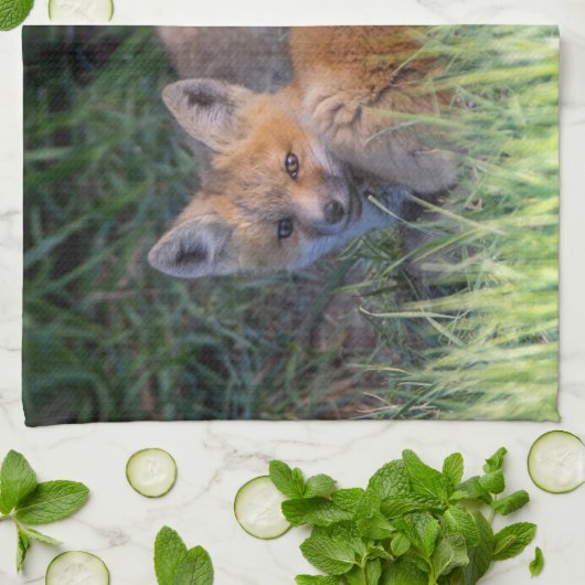 最も可愛い赤ん坊の動物 |赤キツネキット兄弟姉妹 キッチンタオル (折り畳み)