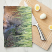 最も可愛い赤ん坊の動物 |赤キツネキット兄弟姉妹 キッチンタオル (四つ折り)